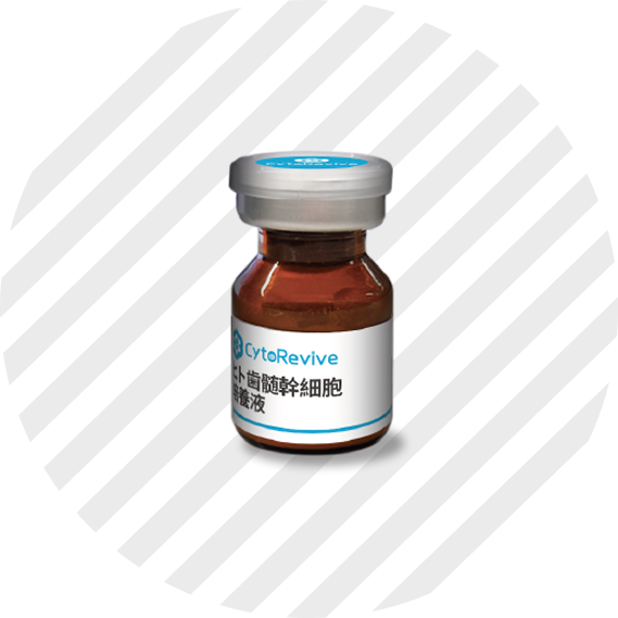 ヒト歯髄幹細胞培養液